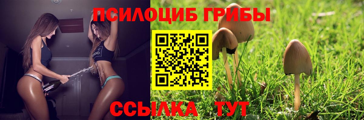 Галлюциногенные грибы MAGIC MUSHROOMS Дедовск